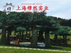  TA9钛合金的拉伸性能