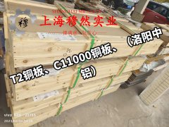 3J53恒定弹性合金航标