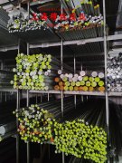 4J34铁镍精密合金的扭转性能