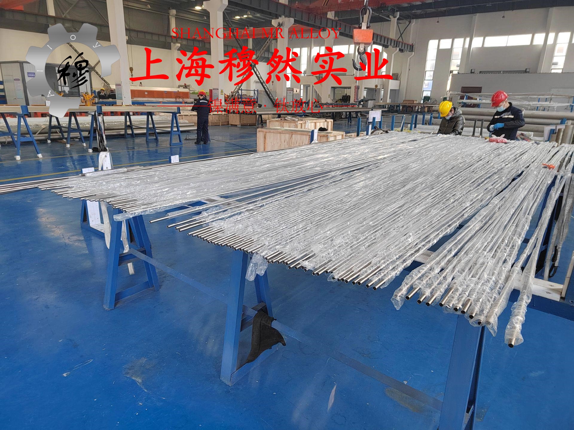 C71500铁白铜冶标的组织结构概述