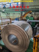  GH4738高温合金国标是什么金属？