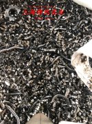  4J32精密合金的机械性能