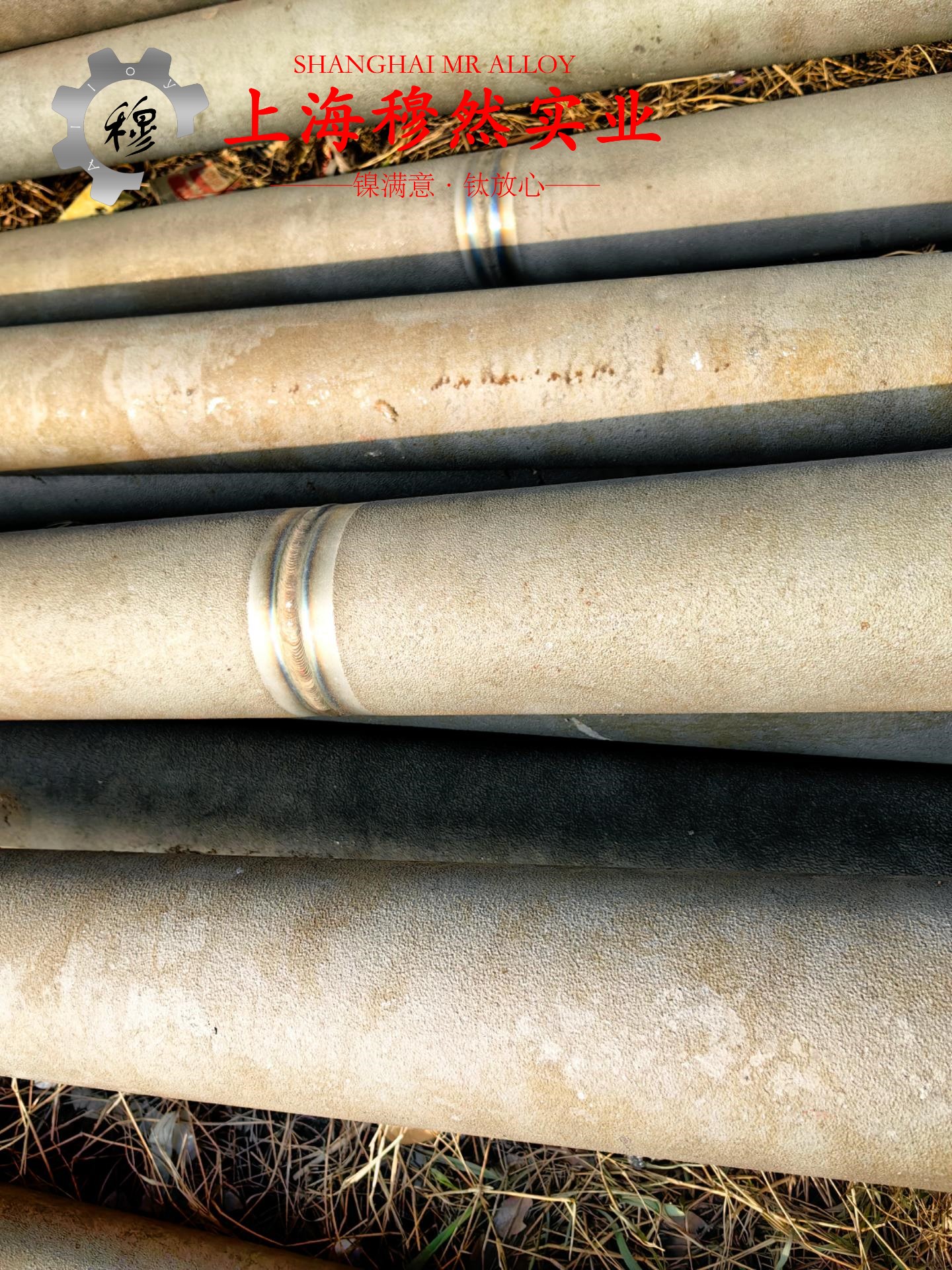 4J45铁镍定膨胀玻封合金的退火温度与切变模量